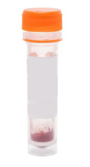 Best Price 95% 4-Di-16-ASP / 4-(4-(Dihexadecylamino)styryl)-N-methylpyridinium iodide Cas 114041-00-8