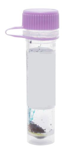 Best Price 95% DiR 1,1'-Dioctadecyl-3,3,3',3'-tetramethylindotricarbocyanine iodide cas 100068-60-8