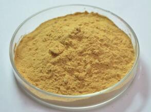 Best Price 2-(Chloromethyl)-4,5-dihydro-1H-imidazole hydrochloride cas 13338-49-3