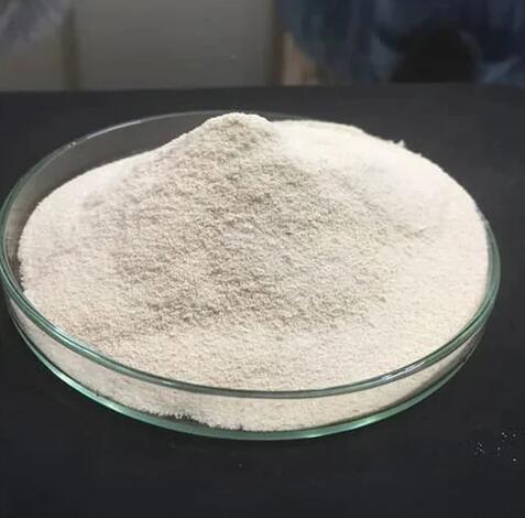 Bulk price high quality DMT-2'-F-Bz-dC cas 154771-33-2