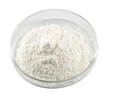 Wholesale High Purity Price 7-Chloroimidazo[1,2-a]pyridine cas 4532-25-6