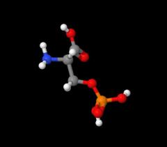 High Quality O-Phospho-L-serine cas 407-41-0