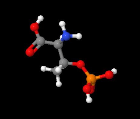 Manufacturer high Quality O-Phospho-L-Threonine cas 1114-81-4
