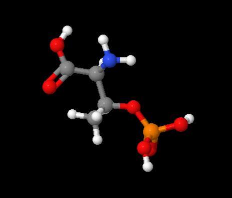 Manufacturer high Quality O-Phospho-L-Threonine cas 1114-81-4