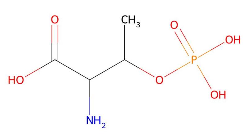 Manufacturer high Quality O-Phospho-L-Threonine cas 1114-81-4