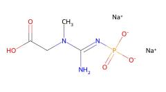 Factory Supply Creatine phosphate disodium salt tetrahydrate cas 922-32-7