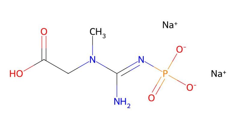 Factory Supply Creatine phosphate disodium salt tetrahydrate cas 922-32-7