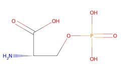High Quality O-Phospho-L-serine cas 407-41-0