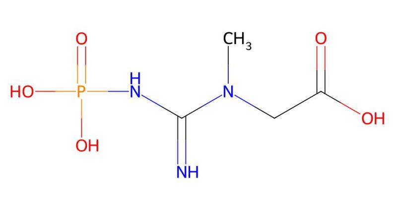 Professional Supplier Creatine phosphate / Phosphocreatine cas 67-07-2