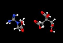 Cheap Price High Purity Creatine citrate cas 177024-62-3