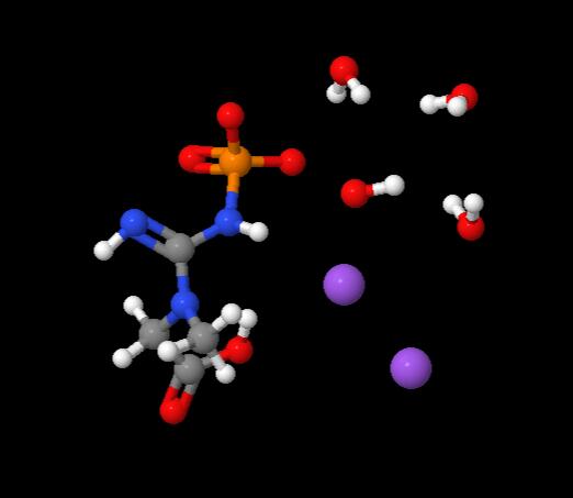 Best Price Creatine phosphate disodium salt tetrahydrate cas 71519-72-7