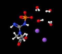 Best Price Creatine phosphate disodium salt tetrahydrate cas 71519-72-7