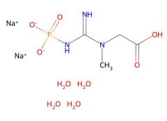 Best Price Creatine phosphate disodium salt tetrahydrate cas 71519-72-7