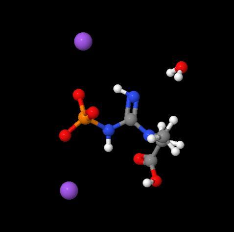 Factory Supply Phosphocreatine disodium salt hydrate cas 19333-65-4