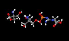 Factory Supply High Quality Phosphocreatine Di-tris salt cas 108321-17-1