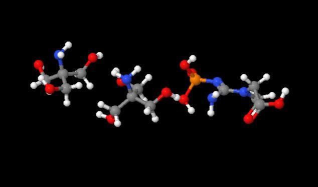 Factory Supply High Quality Phosphocreatine Di-tris salt cas 108321-17-1