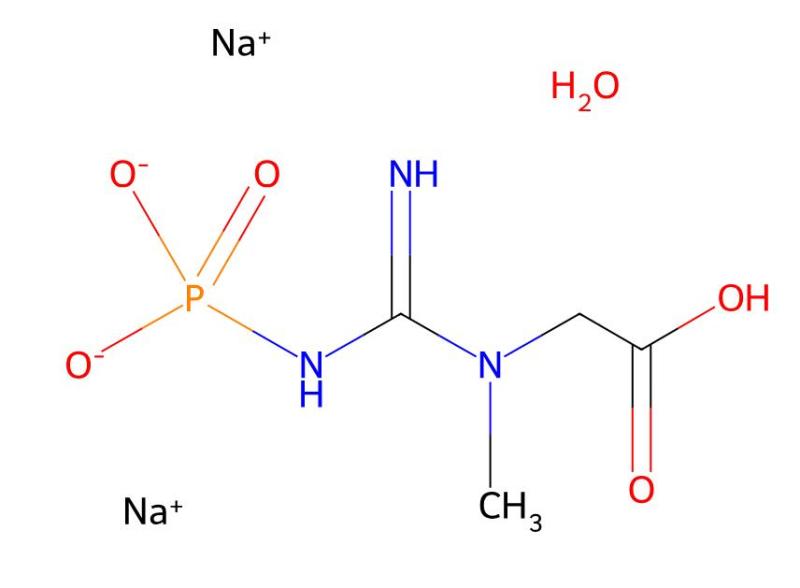 Factory Supply Phosphocreatine disodium salt hydrate cas 19333-65-4
