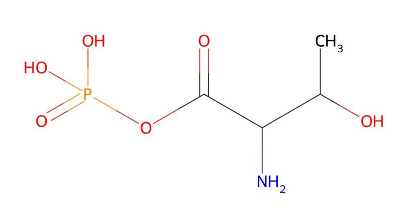 China Manufacturer O-Phospho-DL-Threonine cas 27530-80-9