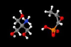Cheap Price High Purity Fosfomycin Tromethamine cas 78964-85-9
