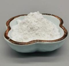 Hot selling high quality 5-Chloro-1-(4-piperidyl)-2-benzimidazolinone cas 53786-28-0