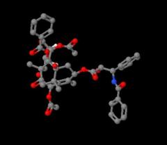 Factory China Manufacture High quality Paclitaxel cas 33069-62-4