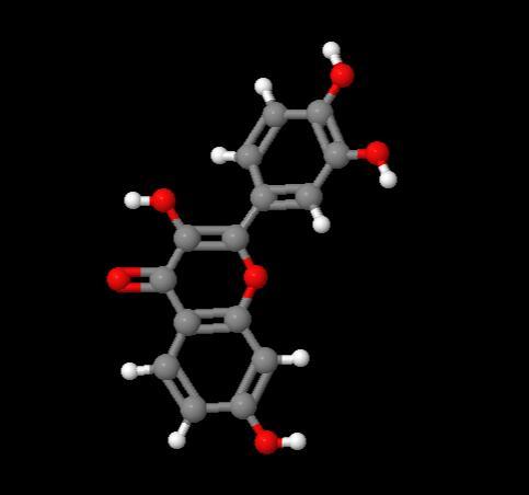 Factory in Stock Fisetin cas 528-48-3