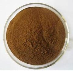 Factory Supply Tribulus terrestris, ext. cas 90131-68-3