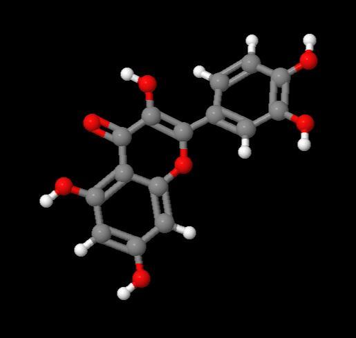China Manufacturer Quercetin cas 117-39-5