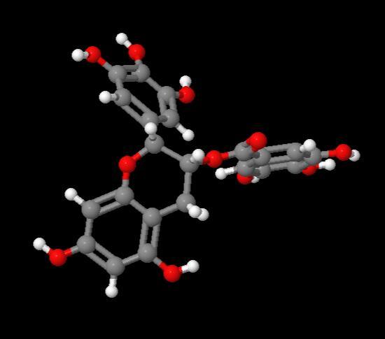 Factory Wholesale Price (-)-Epigallocatechin gallate EGCG cas 989-51-5