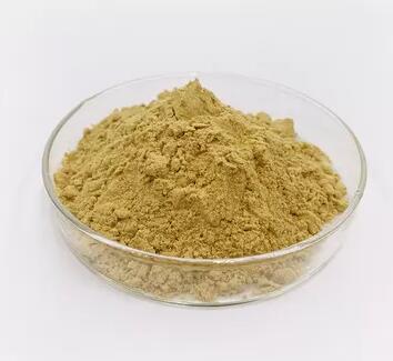 Factory Price Phillyrin cas 487-41-2 in stock