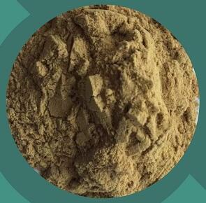 High Quality Lonicera caprifolium extract cas 84603-62-3