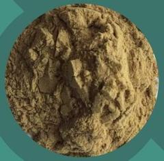 High Quality Lonicera caprifolium extract cas 84603-62-3