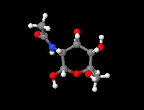 High Purity Price N-Acetyl-D-glucosamine cas 7512-17-6