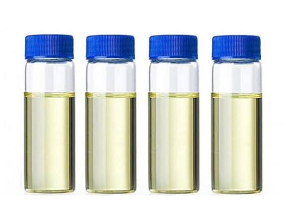 Factory China Manufacture High quality Saw Palmetto extract CAS 84604-15-9