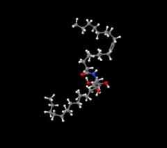 Cheap Price High Purity Ceramides cas 100403-19-8