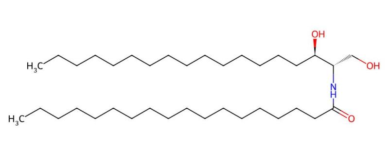 Professional Supplier ceramide NP / Ceramide 3B cas 178436-06-1