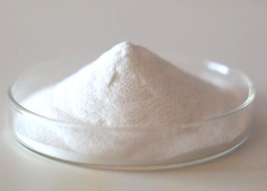 Factory China Manufacture High quality Saw Palmetto extract CAS 84604-15-9