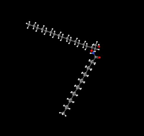 Professional Supplier ceramide NP / Ceramide 3B cas 178436-06-1