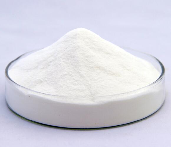 Wholesale High Purity Price 2-Bromoisonicotinic Acid cas 66572-56-3