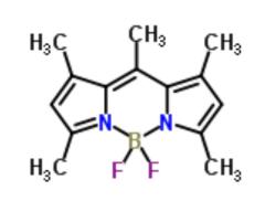 Factory Wholesale Price BODIPY 493/503 cas 121207-31-6
