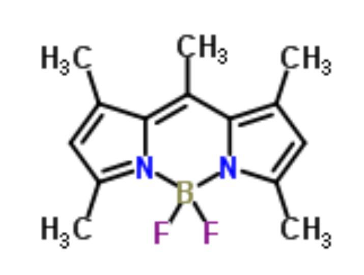 Factory Wholesale Price BODIPY 493/503 cas 121207-31-6