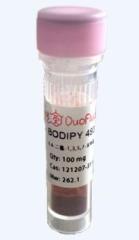 Factory Wholesale Price BODIPY 493/503 cas 121207-31-6