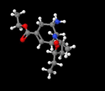 China Manufacturer Oseltamivir cas 196618-13-0