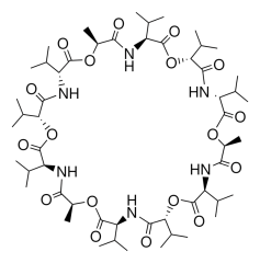 Factory China Valinomycin CAS 2001-95-8 in stock