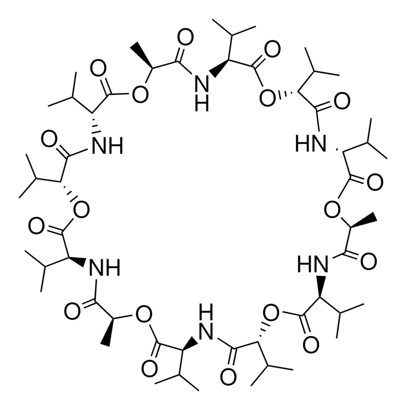 Factory China Valinomycin CAS 2001-95-8 in stock