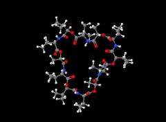 Factory China Valinomycin CAS 2001-95-8 in stock