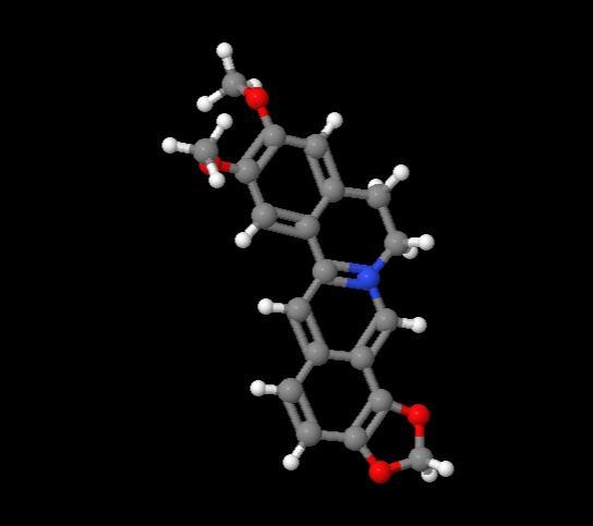 Wholesale High Purity Price Epiberberine CAS 6873-09-2