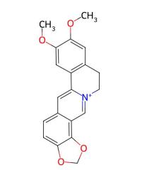 Wholesale High Purity Price Epiberberine CAS 6873-09-2