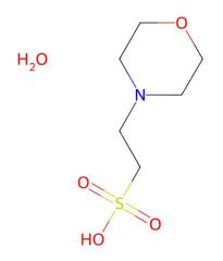 Factory Wholesale Price MES hydrate CAS 1266615-59-1