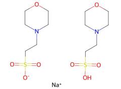 Cheap Price High Purity MES hemisodium salt CAS 117961-21-4